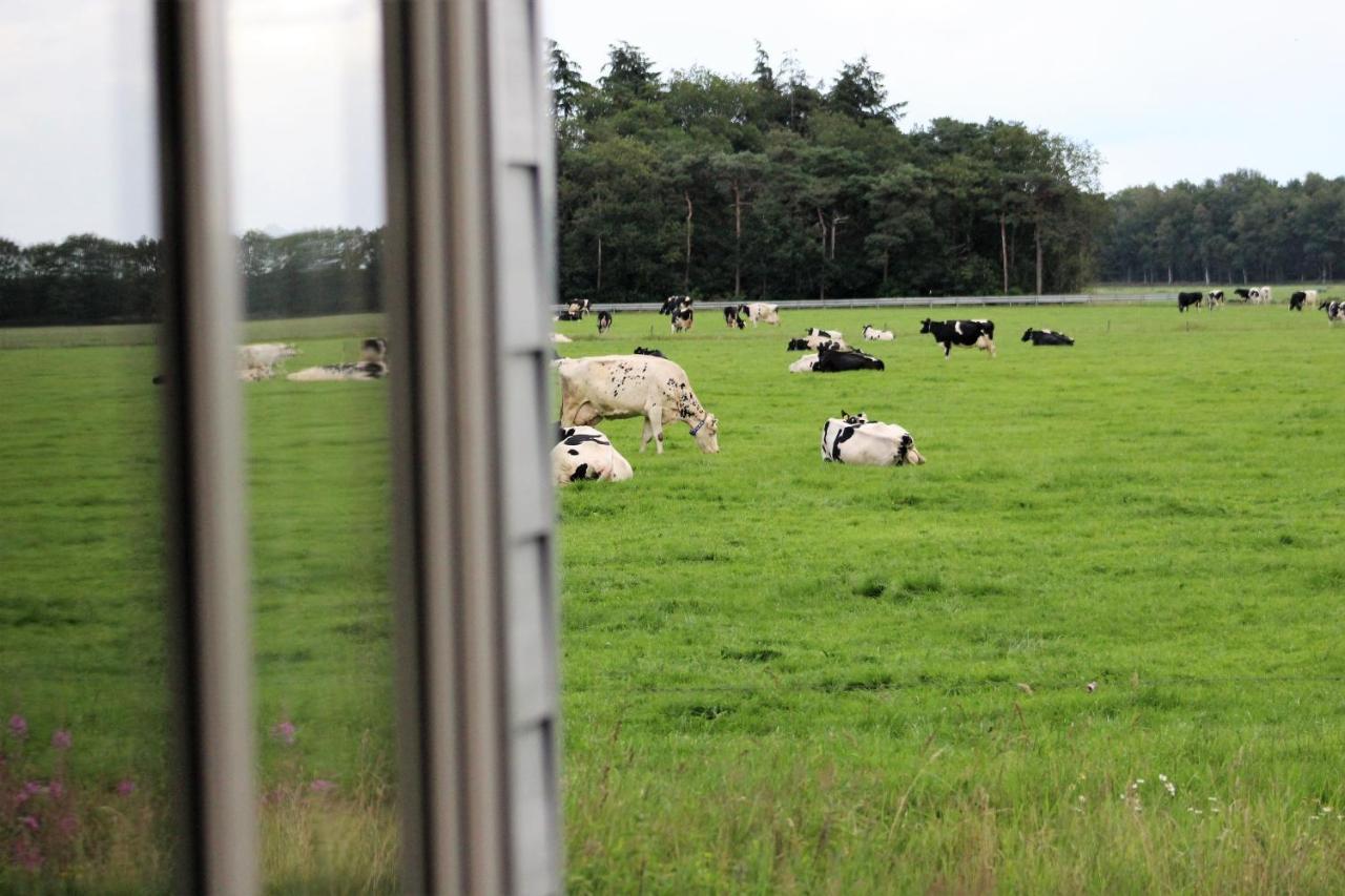 Panorama Box Op Camping De Stal Drijber Kültér fotó